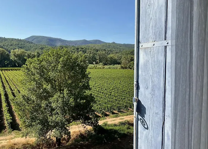 Domaine De Coubillou